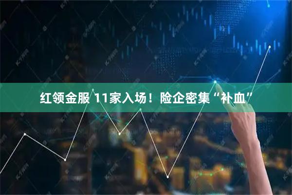 红领金服 11家入场！险企密集“补血”