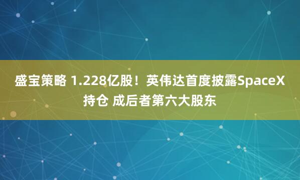 盛宝策略 1.228亿股！英伟达首度披露SpaceX持仓 成后者第六大股东
